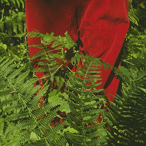 Image hover effect image